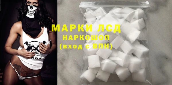 прущие грибы Бронницы