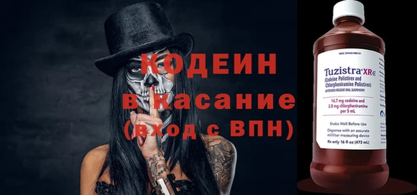 прущие грибы Бронницы