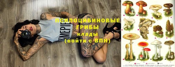 ALPHA PVP Бородино