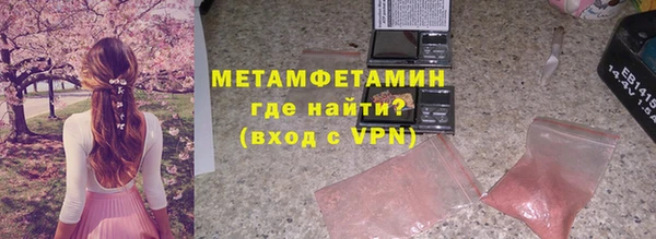прущие грибы Бронницы