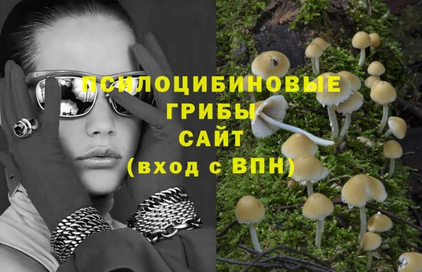 прущие грибы Бронницы