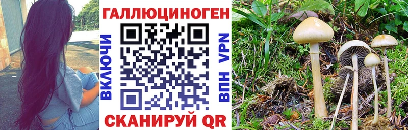 Галлюциногенные грибы Magic Shrooms  Саранск 